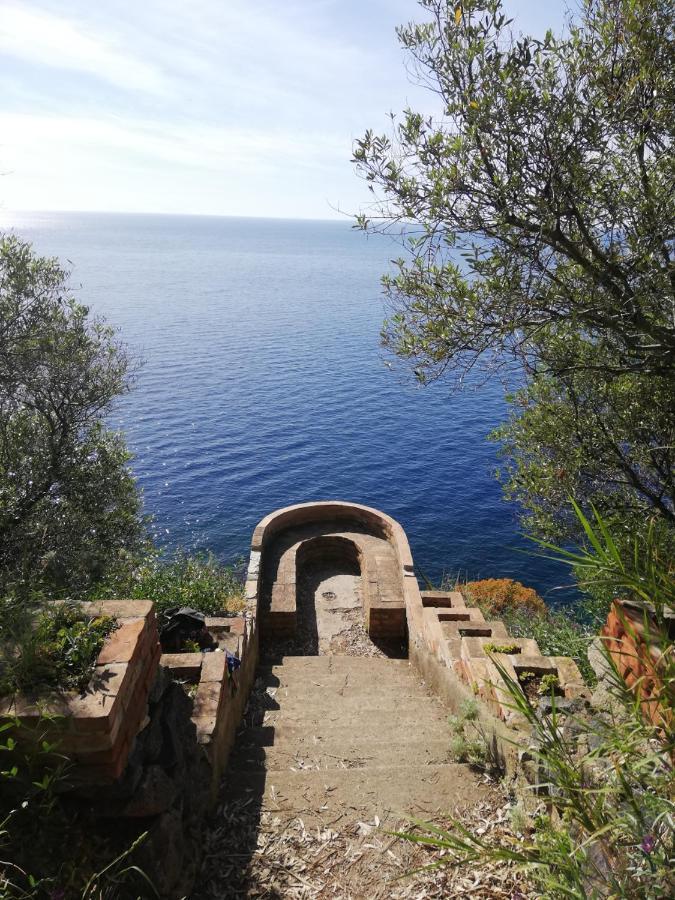 Appartamento City Apartment Palmi
